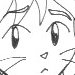 Satoshi Cat
